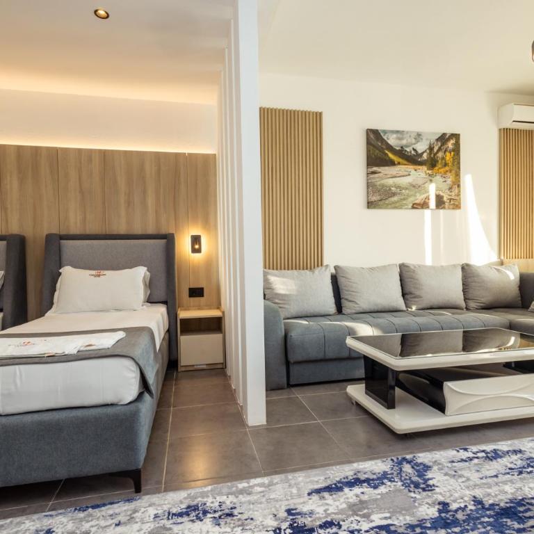 Continental Hotel - Deluks Dvokrevetni Studio sa Bračnim Krevetom - 22