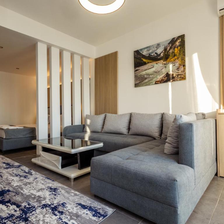 Continental Hotel - Deluks Dvokrevetni Studio sa Bračnim Krevetom - 27