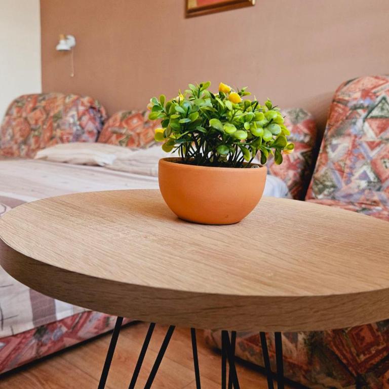 Apartman Kutak Nešić - Apartman sa 1 Spavaćom Sobom - 20