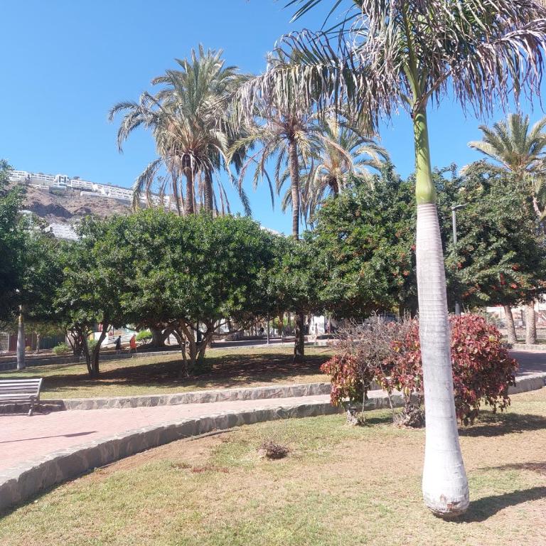 Montaña Clara Luxholidays - Apartamento de 2 dormitorios - 44