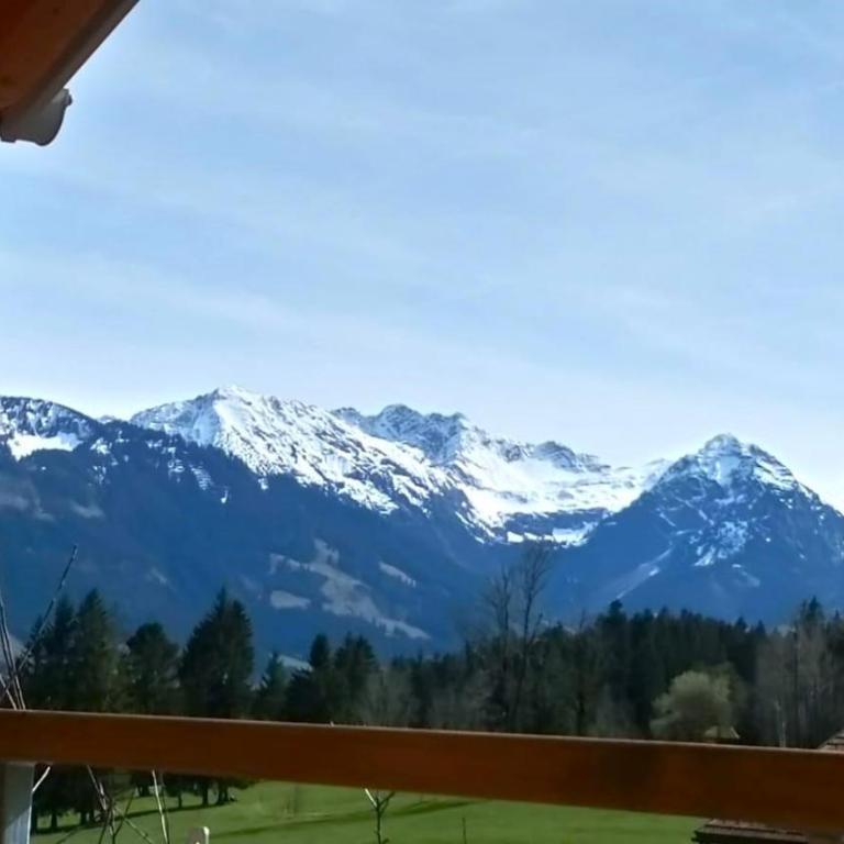 Bergbauernhof Wechs - Apartment mit 1 Schlafzimmer und Balkon - 9
