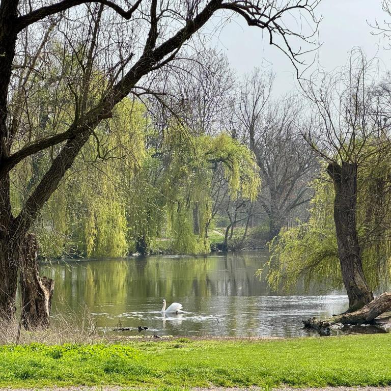 Escale cosy a Strasbourg au fil de l eau - Appartamento con 1 Camera da Letto - 11