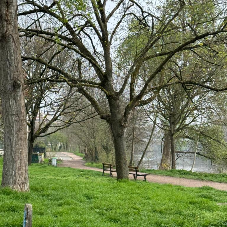 Escale cosy a Strasbourg au fil de l eau - Appartamento con 1 Camera da Letto - 17