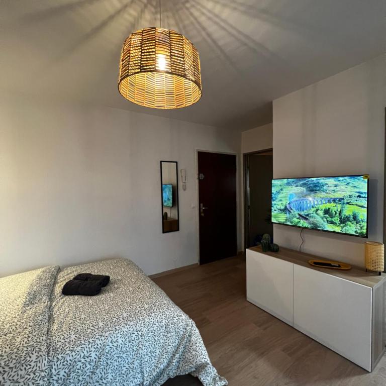 Proche Centre Mulhouse - Studio cosy - Appartement 1 Chambre - 9