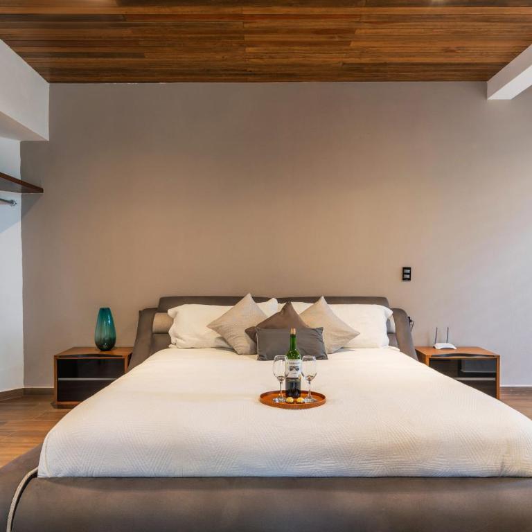 Cabaña de lujo en La Toscana Mazamitla 1 - Villa de 3 dormitorios - 7