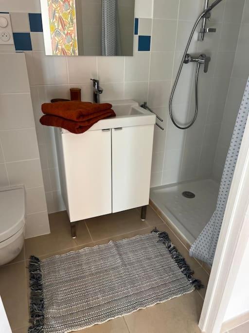 La villa Rosa - Haus mit 3 Schlafzimmern - 15