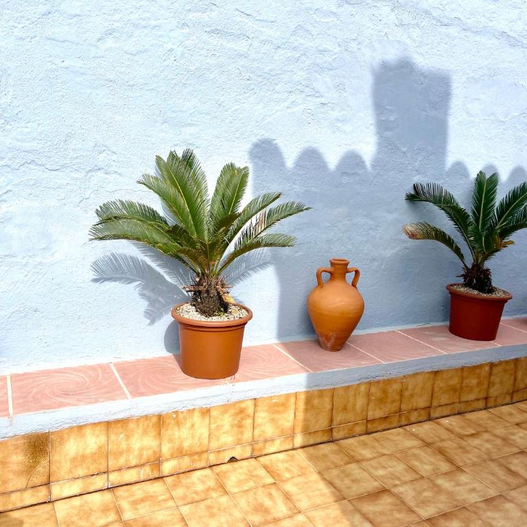 LA CASA BLUE , Mediterranean Boutique-Villa in Santa Cristina Beach - Casa - 18