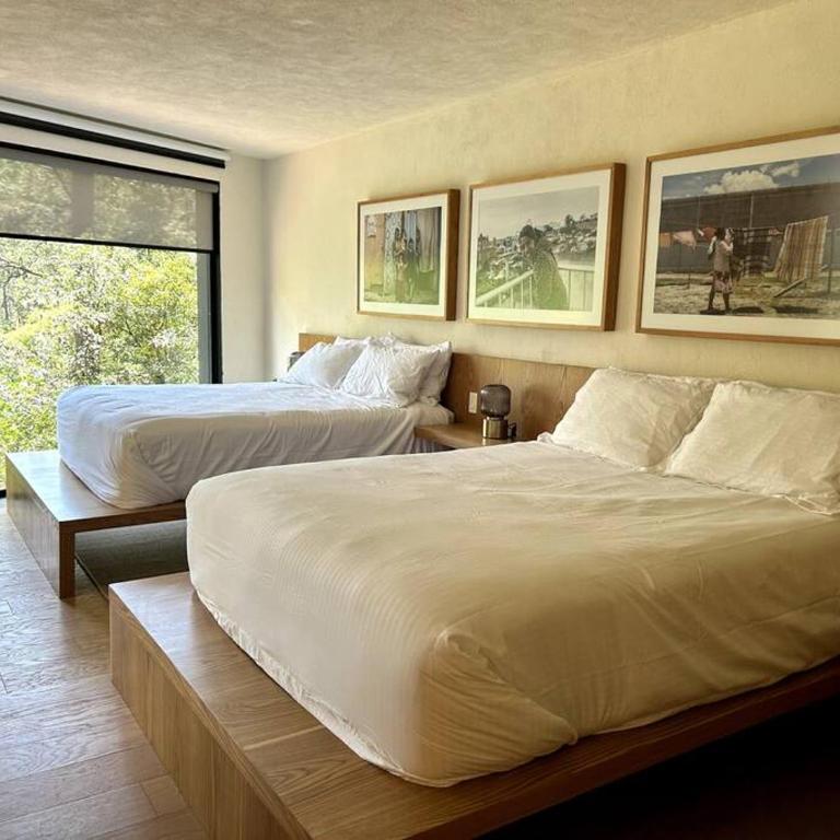 Suite boutique Oyamel en Avándaro, Valle de Bravo - Apartamento de 1 dormitorio - 1