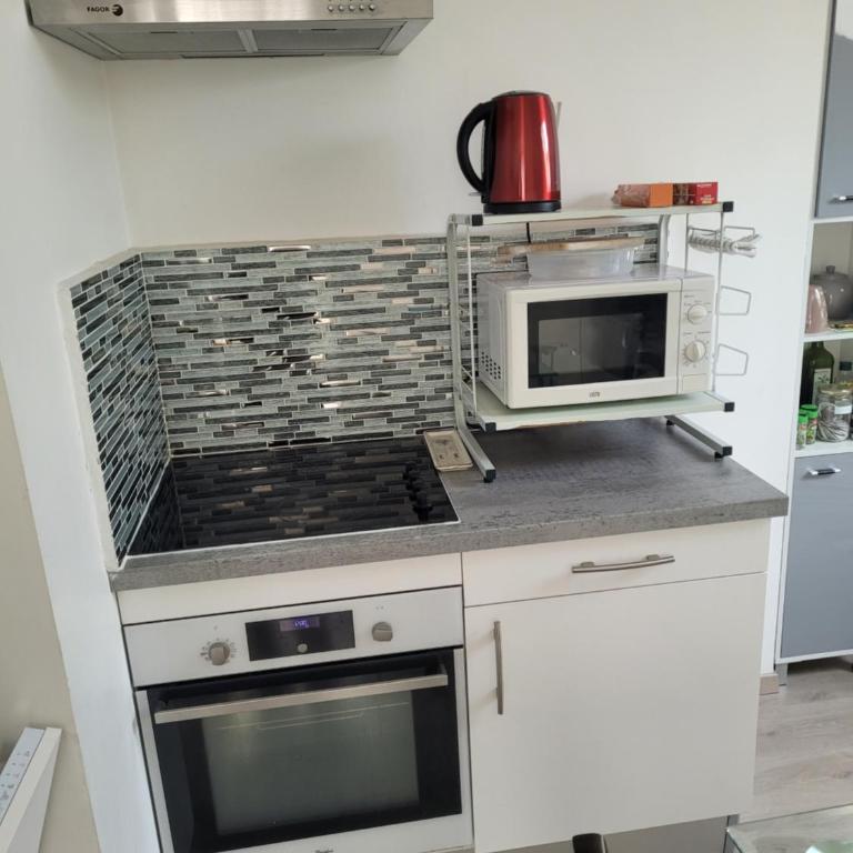 Appartements Au Cros De Cagnes - Appartement Mansardé sans Balcon - 18