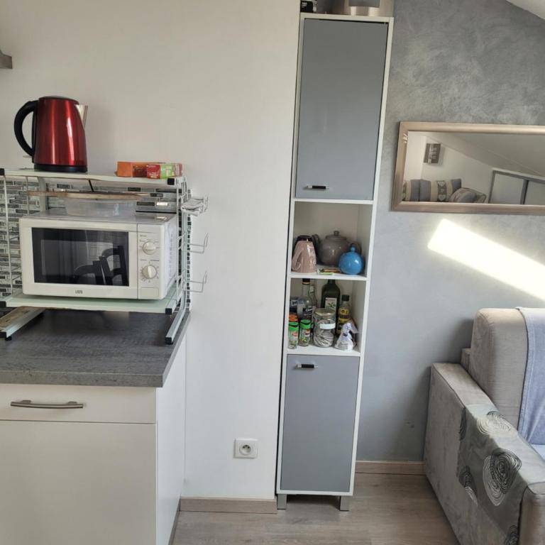 Appartements Au Cros De Cagnes - Appartement Mansardé sans Balcon - 20