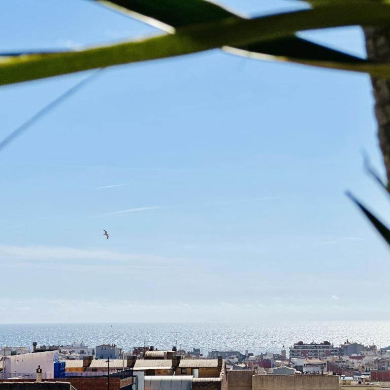 Llevant CostaBravaSi - Apartamento - 9
