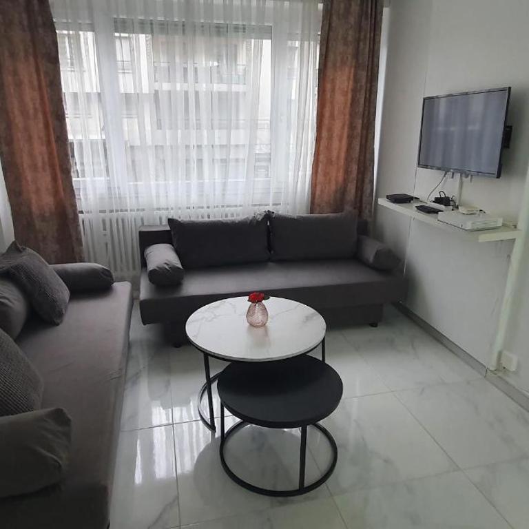 Appartement centre de Annemasse - Appartement - 9