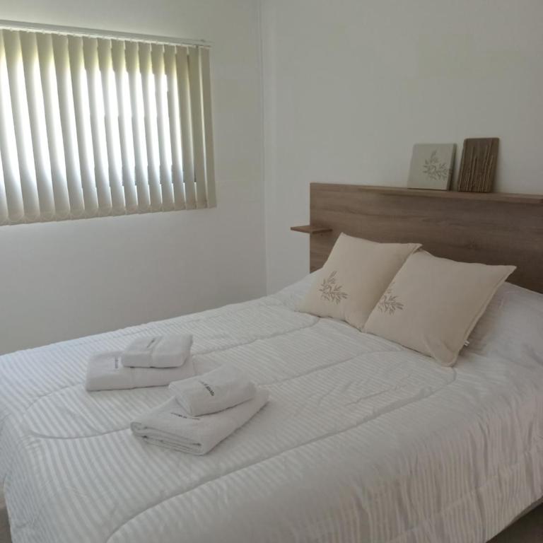 Lodge de Aranda 1 - Apartamento de 2 dormitorios - 4