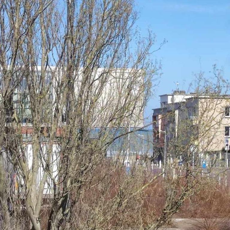 Dam&HelMalo - 150m de la plus belle plage du Nord. - One-Bedroom Apartment - 2