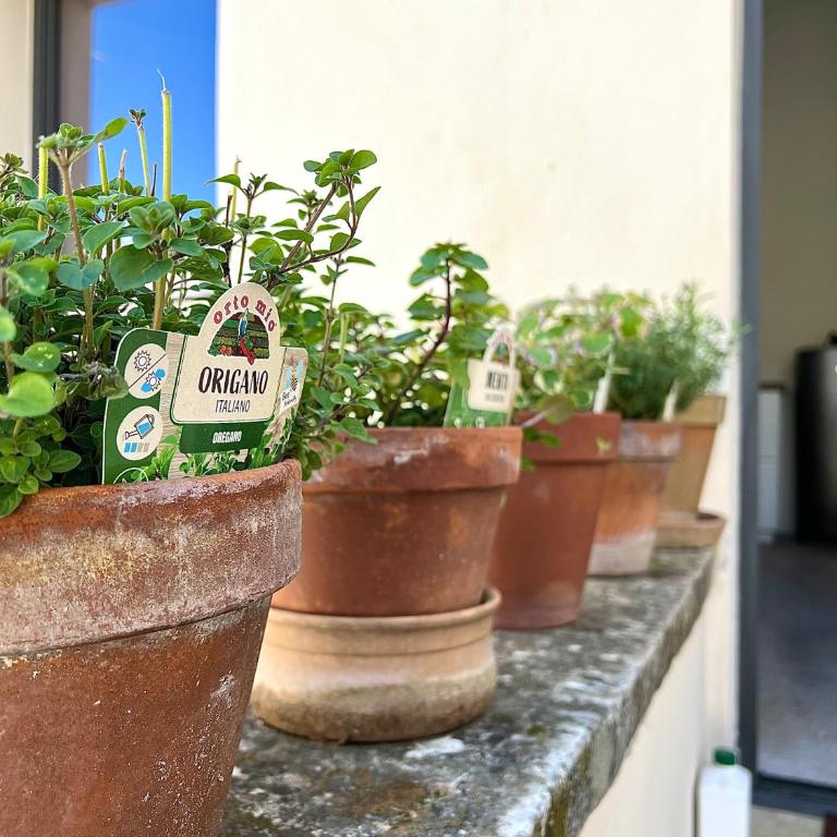 Casa Brumar - One-Bedroom Apartment - 16