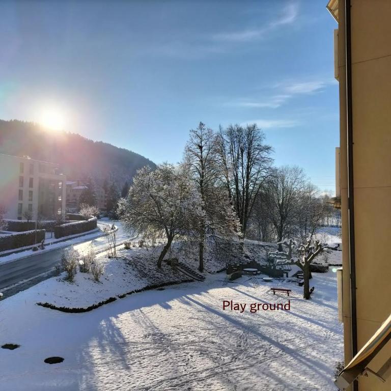 EnjoyLucerne - Apartment mit 3 Schlafzimmern - 2