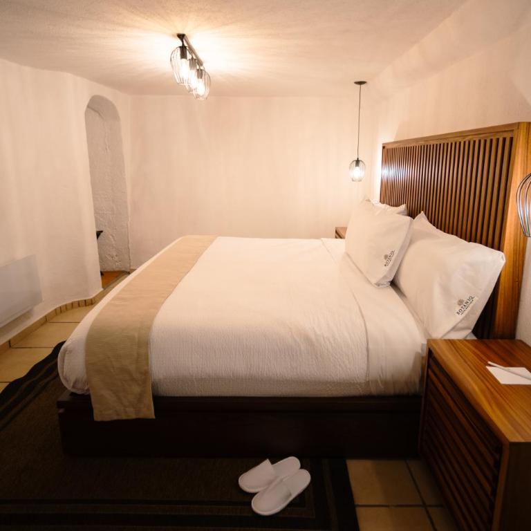 BOTANIQ HOTEL BOUTIQUE - Suite Estándar - 2