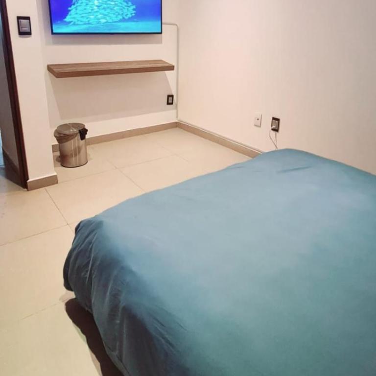 Cálida casa pet friendly, CDMX - Apartment - 49
