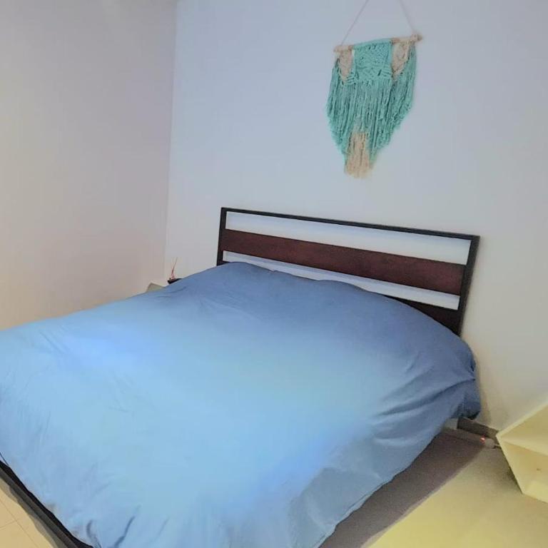 Cálida casa pet friendly, CDMX - Apartment - 50