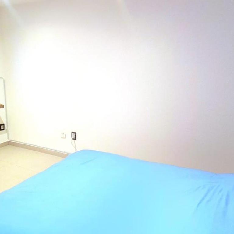 Cálida casa pet friendly, CDMX - Apartment - 51