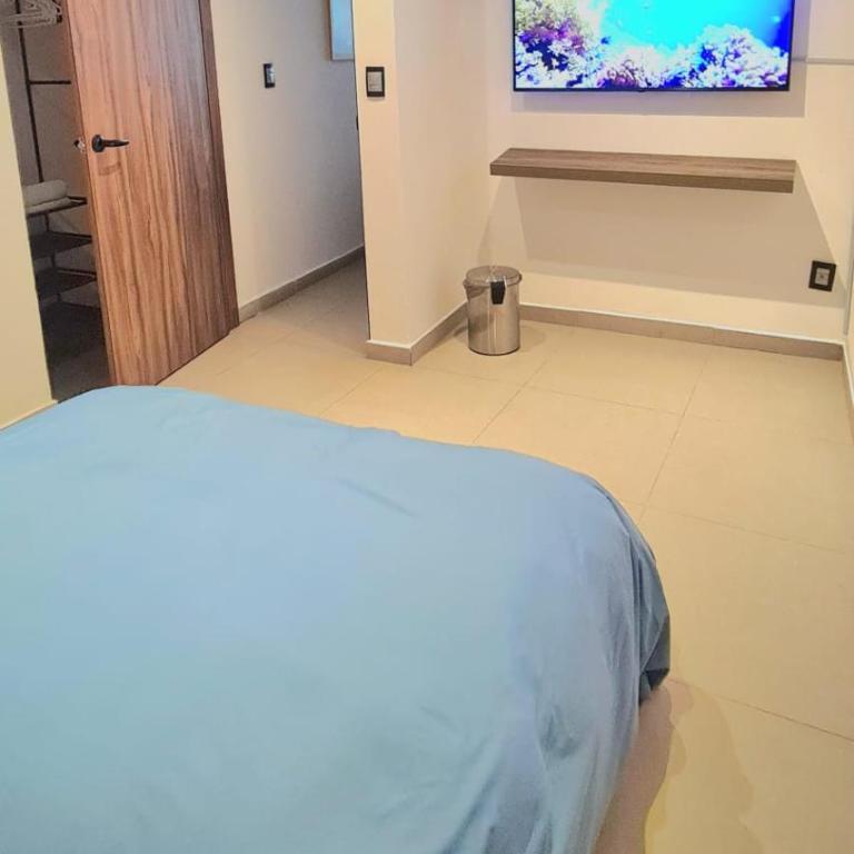 Cálida casa pet friendly, CDMX - Apartment - 53