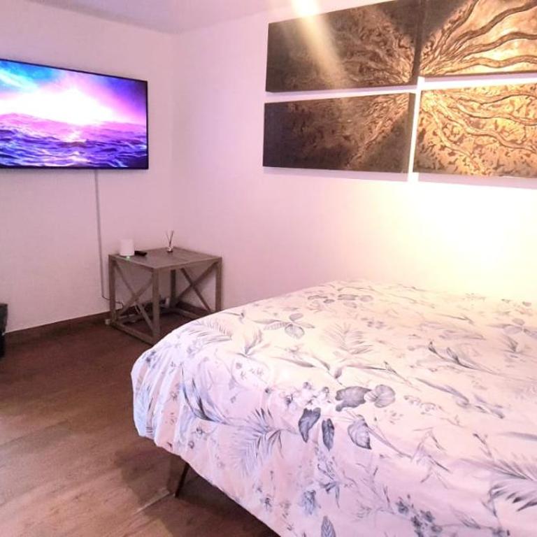 Cálida casa pet friendly, CDMX - Apartment - 62