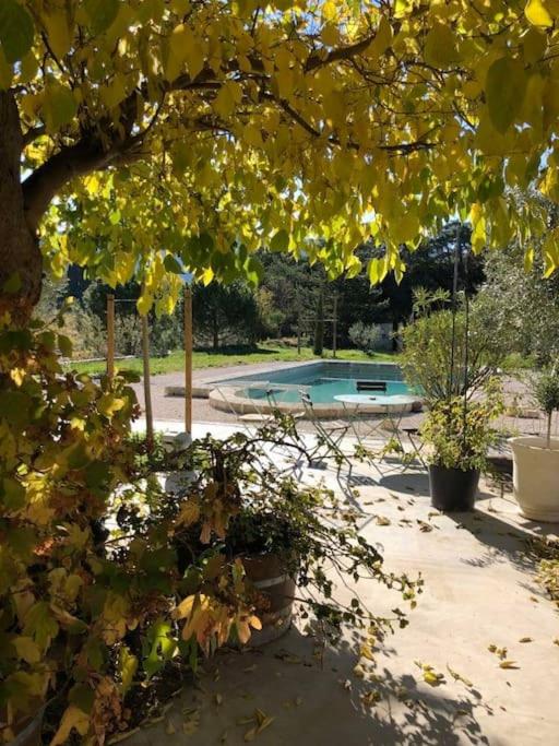 “La Demie Tour” view on The Mont Ventoux. - Villa - 25