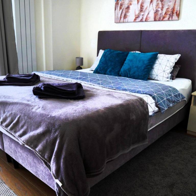 Belgrade Waterfront Comfortable Apartment - Studio sa Bračnim Krevetom (King-size) - 20