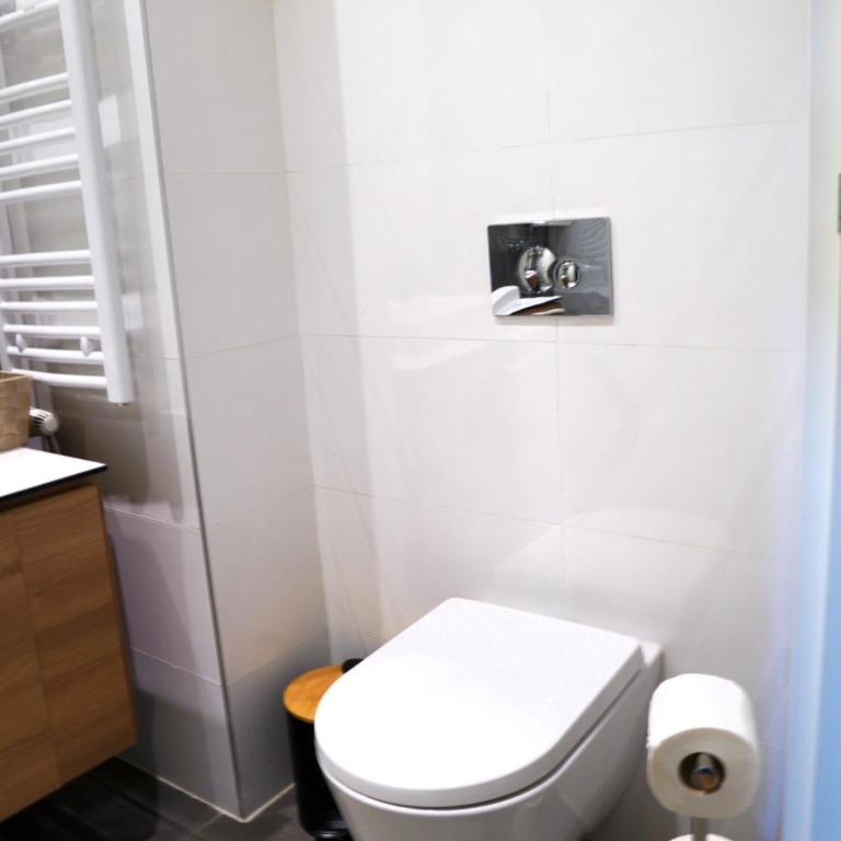 Belgrade Waterfront Comfortable Apartment - Studio sa Bračnim Krevetom (King-size) - 3