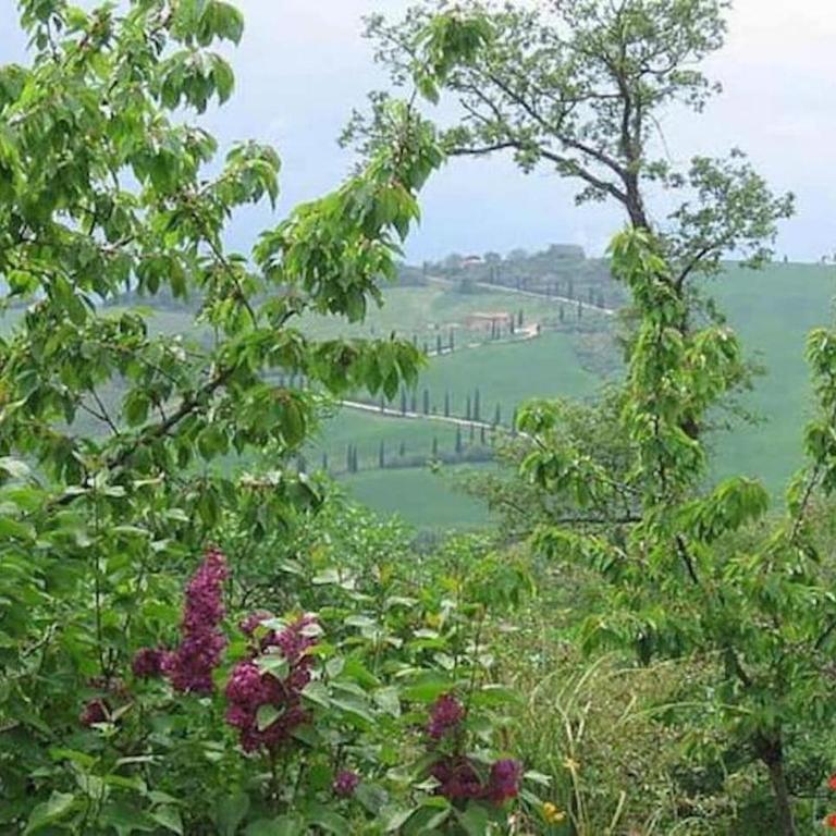 Casa Asilo La Foce, Val d' Orcia, Pienza. - Casa con 2 Camere da Letto - 8