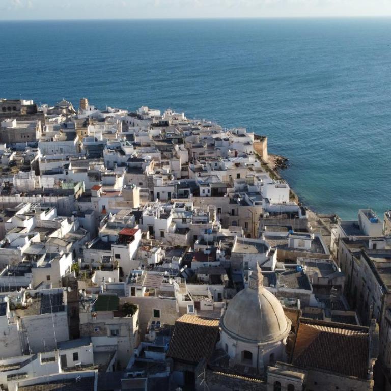Loft 900 - Home & SPA - A Timeless Luxury in Monopoli - One-Bedroom Apartment - 87