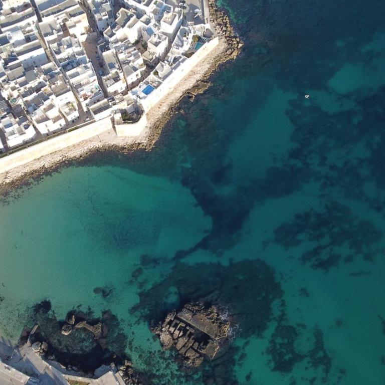 Loft 900 - Home & SPA - A Timeless Luxury in Monopoli - One-Bedroom Apartment - 91