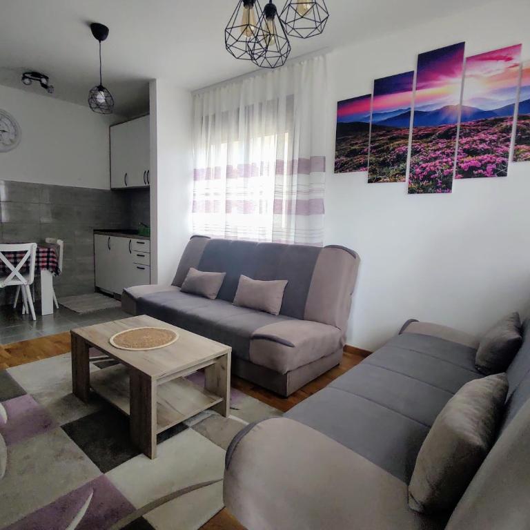 Apartman Petra Zlatibor - One-Bedroom Apartment - 12