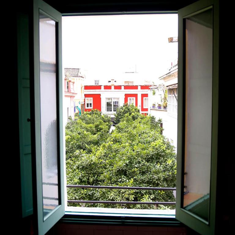 Casa Guadalupe - Casa de 2 dormitorios - 34