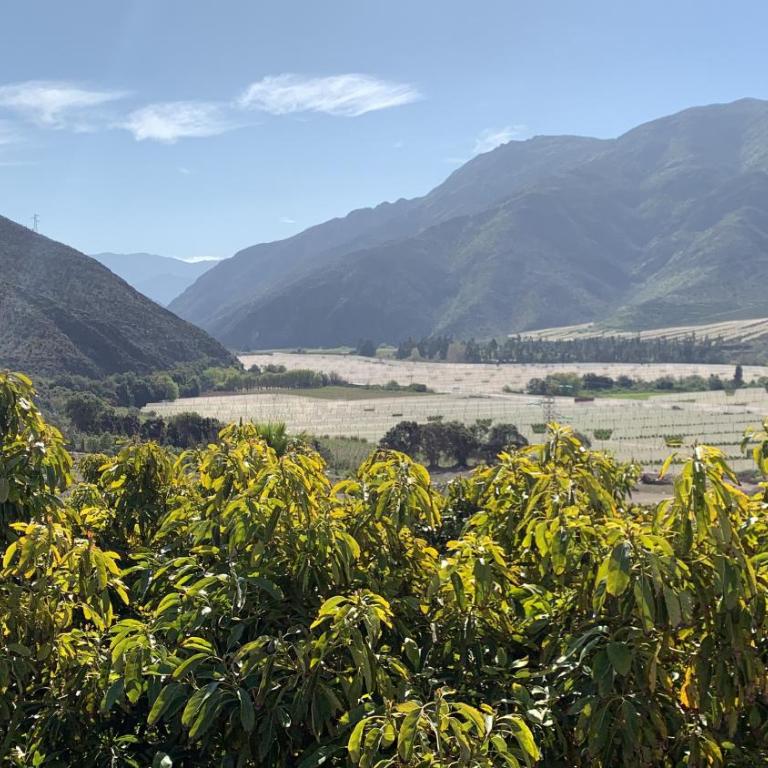 Elqui Valley Avocado Farm - Two-Bedroom House - 18