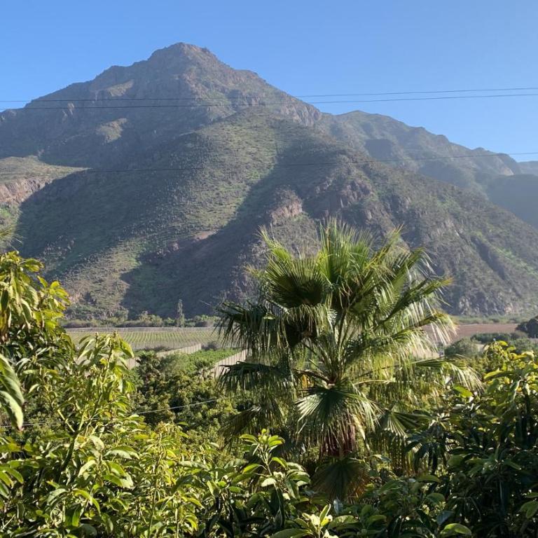 Elqui Valley Avocado Farm - Two-Bedroom House - 21