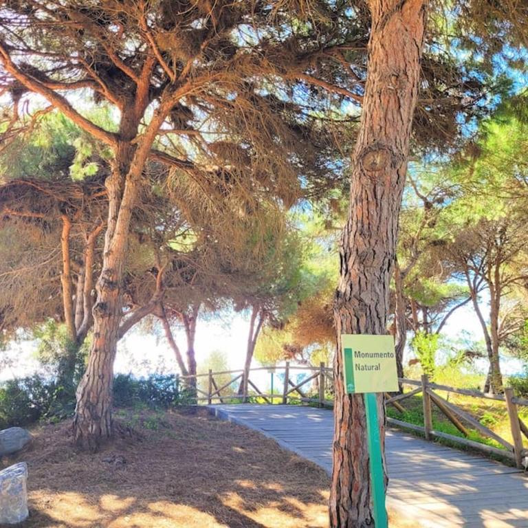 luxury 3 rooms CABOPINO - Apartamento de 3 dormitorios - 26