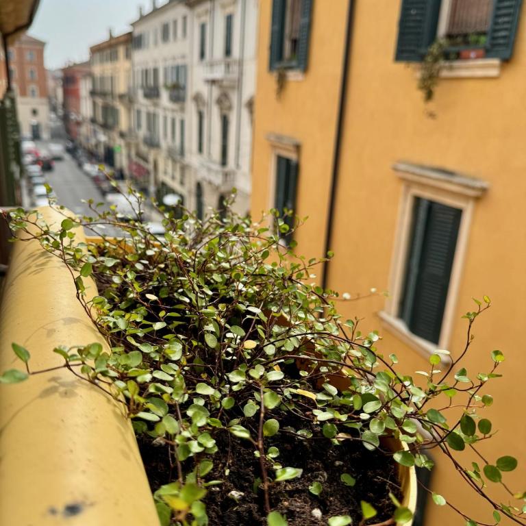 Domus Suites Verona - Appartamentino su 2 Livelli - 24
