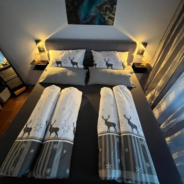 Ferienwohnung Theresia - Appartamento con doccia - 34