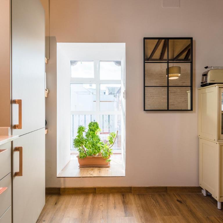 Preciosa Casa Renovada Centro Histórico 11 personas - Villa - 17