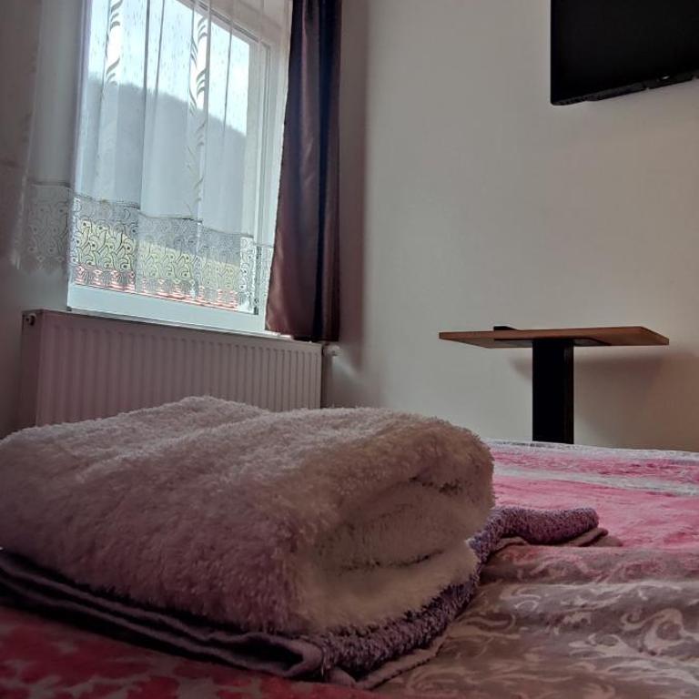 Vila Ivanović - Dvokrevetna Soba sa Bračnim Krevetom - 8