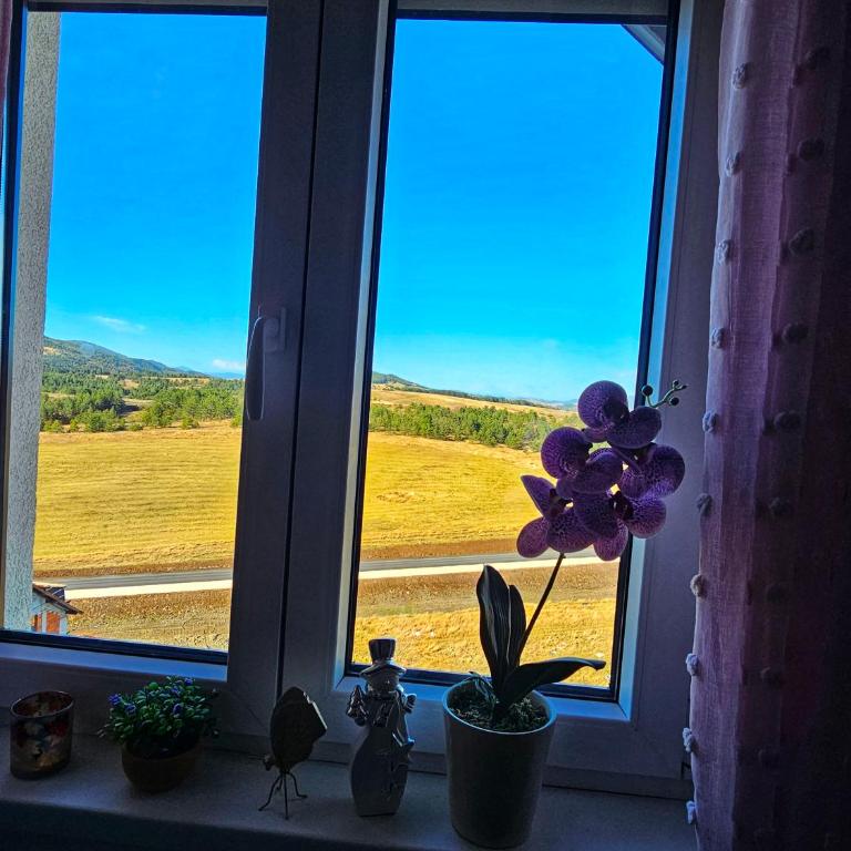SkyLine Lux Apartman Zlatna Lisica Zlatibor - Apartman - 30