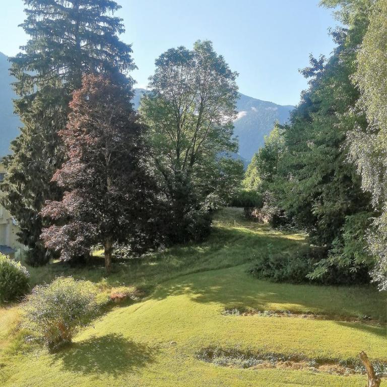 Charmant T2, hypercentre, calme, terrasse, parking - Appartement avec Vue sur la Montagne - 18