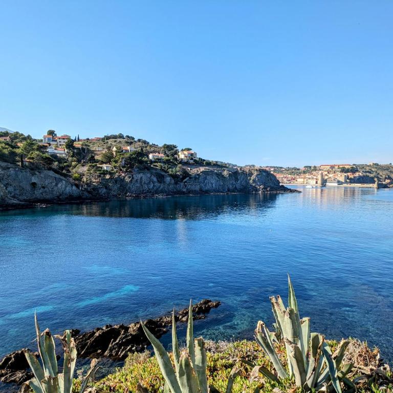 Studio cosy Résidence St Elme avec parking et WIFI à 5min de la plage - Estudio - 9