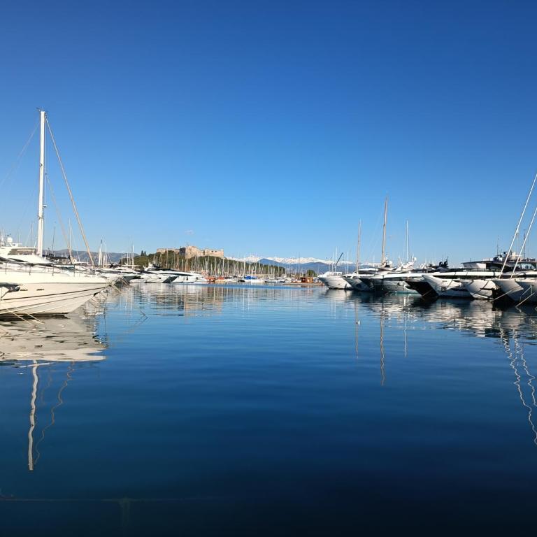TANIT ARAD Classé 40m2 T1 TERRASSE ANGLE 35 m2 PISCINE PARKING - Appartamento Superior - 50