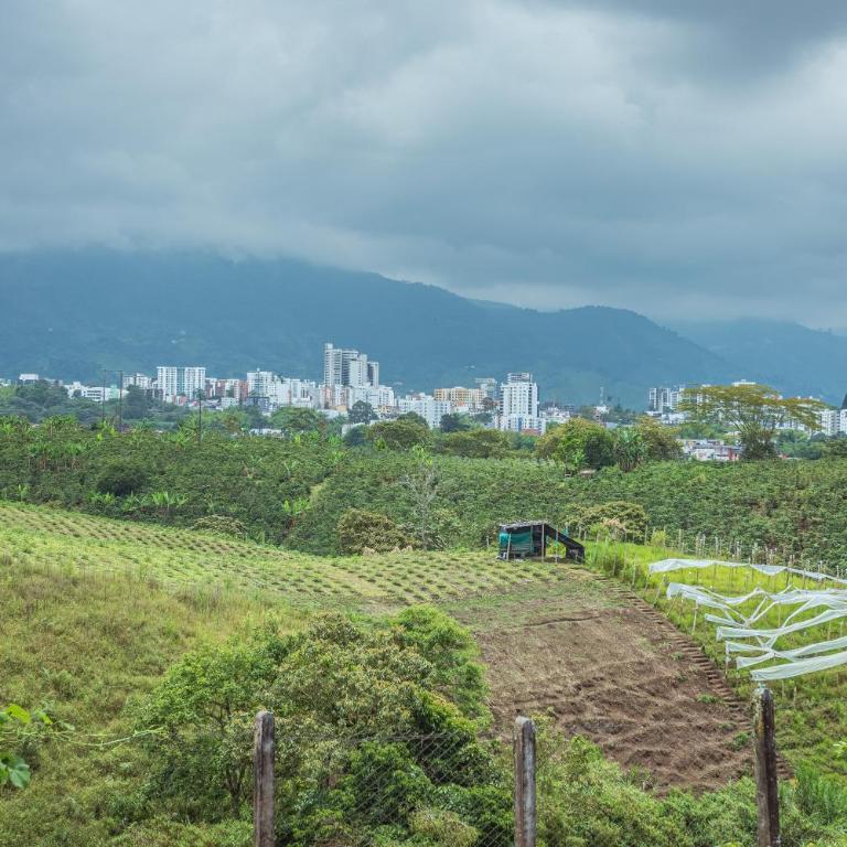 Raizes AXM I Casa Campestre I Armenia, Quindío, Colombia - Casa de 5 dormitorios - 5