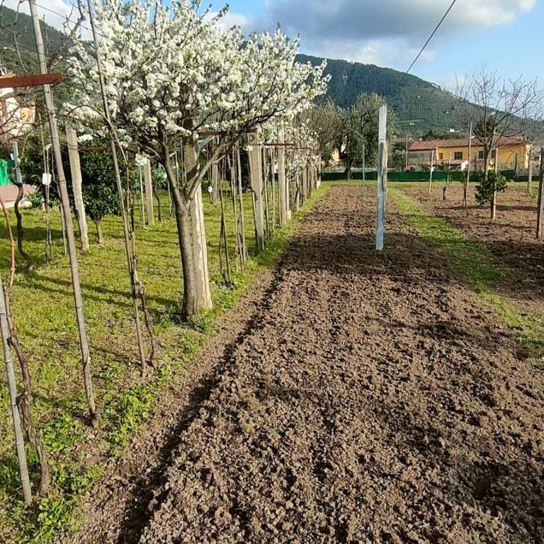 La tenuta di Eva - Two-Bedroom Apartment - 18