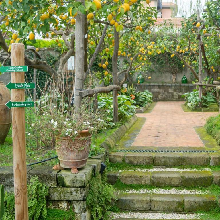 Suite Lidia B&B - Junior Suite con Vista Giardino - 29
