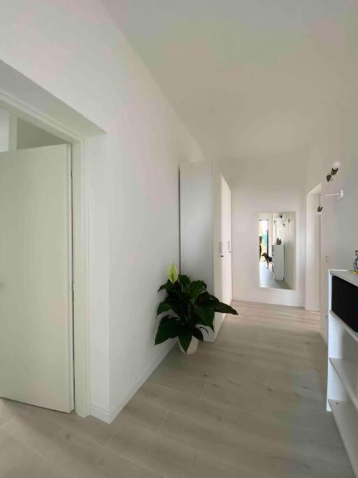 Casa del Salice Lagoon View with Garden - Appartamento con 1 Camera da Letto - 14