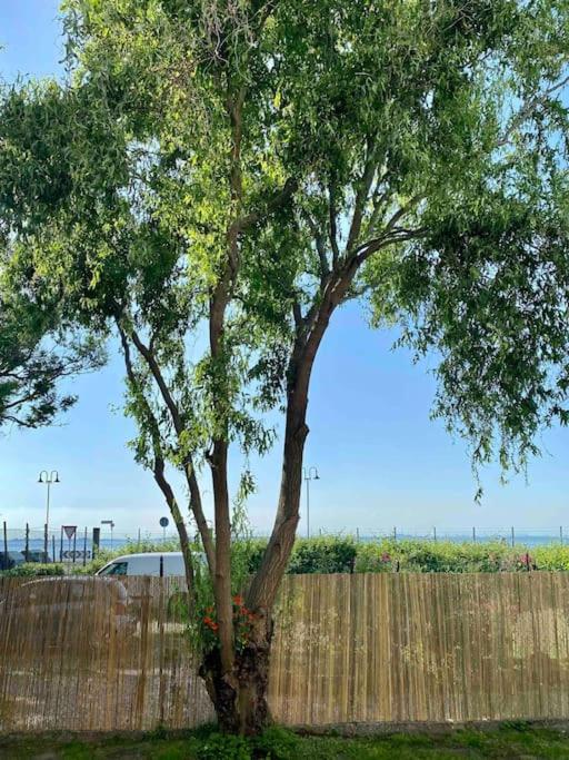 Casa del Salice Lagoon View with Garden - Appartamento con 1 Camera da Letto - 33